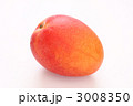 アップルマンゴー（アーウィン種）