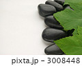 芙蓉の葉と黒い石