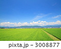 安曇野平野の田園風景