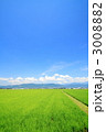 安曇野平野の田園風景