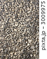 3009975