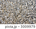 3009979