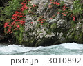 岩ツツジ咲く初夏の板取川