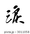 3011058