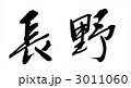 3011060