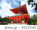 高野山壇上伽藍の根本大塔