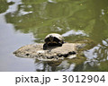3012904