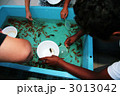 金魚すくい