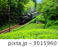 3015960