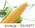 とうもろこし～味来～