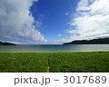 夏へ