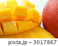ヤンバルマンゴー