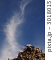 3018015