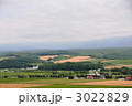 北海道上富良野の丘
