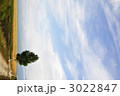 富良野の一本の木