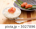 辛子明太子のせご飯