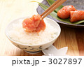 辛子明太子のせご飯