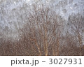 3027931