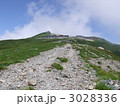 登山道と白馬岳山頂