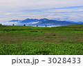 霧ヶ峰高原の朝