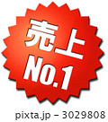 3029808