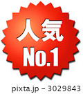 3029843