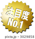 3029858