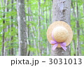 麦わら避暑イメージ③