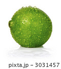 ライム