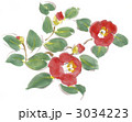 椿