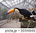 鳥01