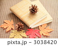 読書と秋の実2
