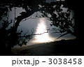 父島／境浦