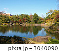 白鳥庭園の風景