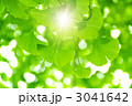 3041642