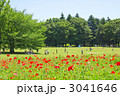 小金井公園のポピー畑