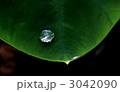 水の玉