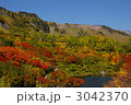 北海道・紅葉の大雪山