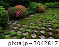 八相の庭のサツキ（京都・東福寺）
