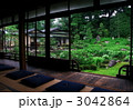 半夏生の庭（京都・建仁寺塔頭・両足院）