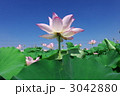 夏空へ向かって