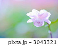 3043321