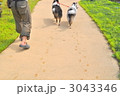 犬の足跡