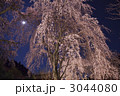 ライトアップの枝垂れ桜と満月