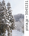 雪をまとう木々