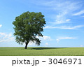 3046971