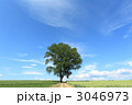 3046973