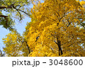 3048600