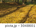 3048601