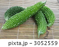 3052559